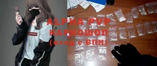 ГАЛЛЮЦИНОГЕННЫЕ ГРИБЫ Бородино