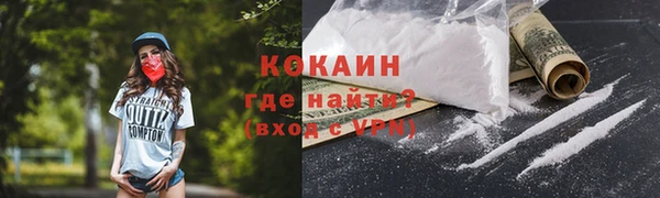 ГАЛЛЮЦИНОГЕННЫЕ ГРИБЫ Бородино