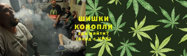 ГАЛЛЮЦИНОГЕННЫЕ ГРИБЫ Бородино