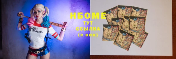 ГАЛЛЮЦИНОГЕННЫЕ ГРИБЫ Бородино