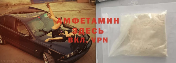 ГАЛЛЮЦИНОГЕННЫЕ ГРИБЫ Бородино