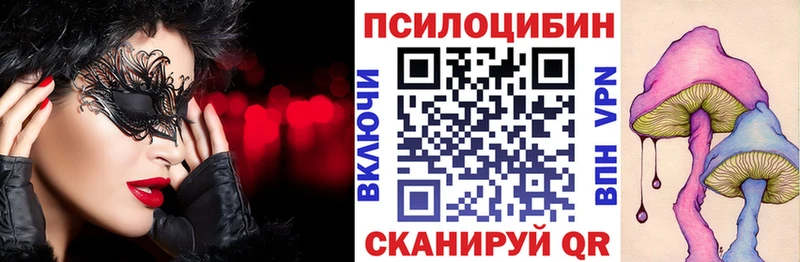Псилоцибиновые грибы мицелий  купить закладку  Полтавская 